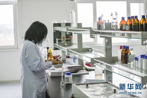 合汽生材 科技賦能飼料業(yè)，網(wǎng)絡(luò)技術(shù)研發(fā)引領(lǐng)產(chǎn)業(yè)升級(jí)